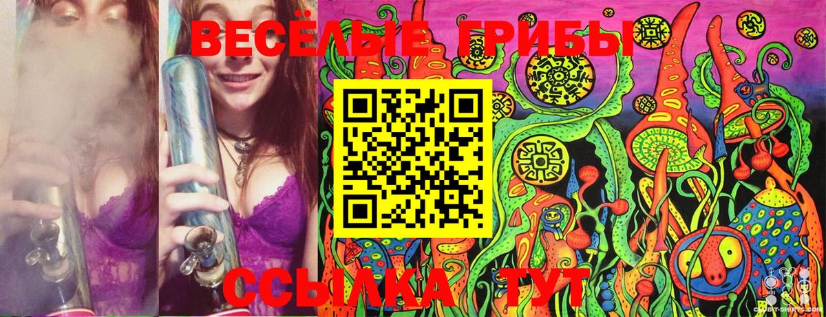 Богородицк  Псилоцибиновые грибы ЛСД  Вход с VPN  Псилоцибиновые грибы MAGIC MUSHROOMS 